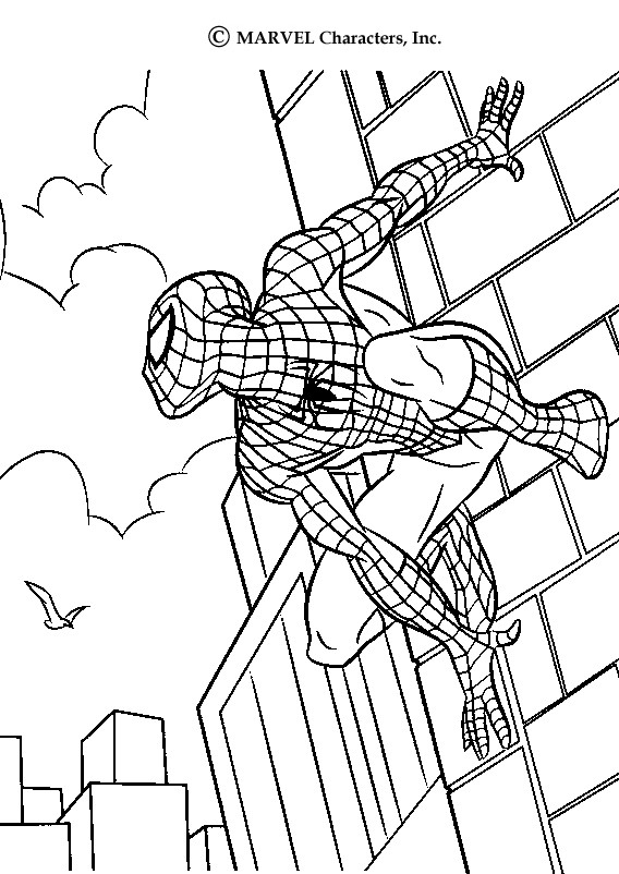 568x802 Color This Spiderman Drawing. This Spiderman Scales Walls Coloring