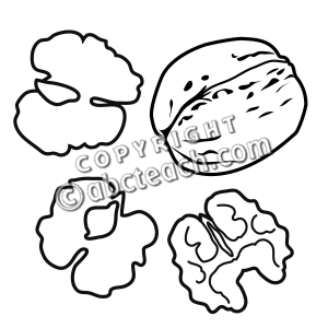 300x300 Walnut Coloring Pages