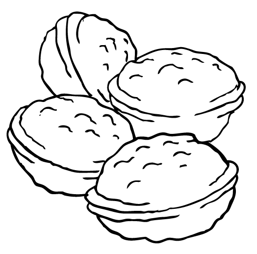 524x518 Walnut Coloring Page Child Crafts Craft