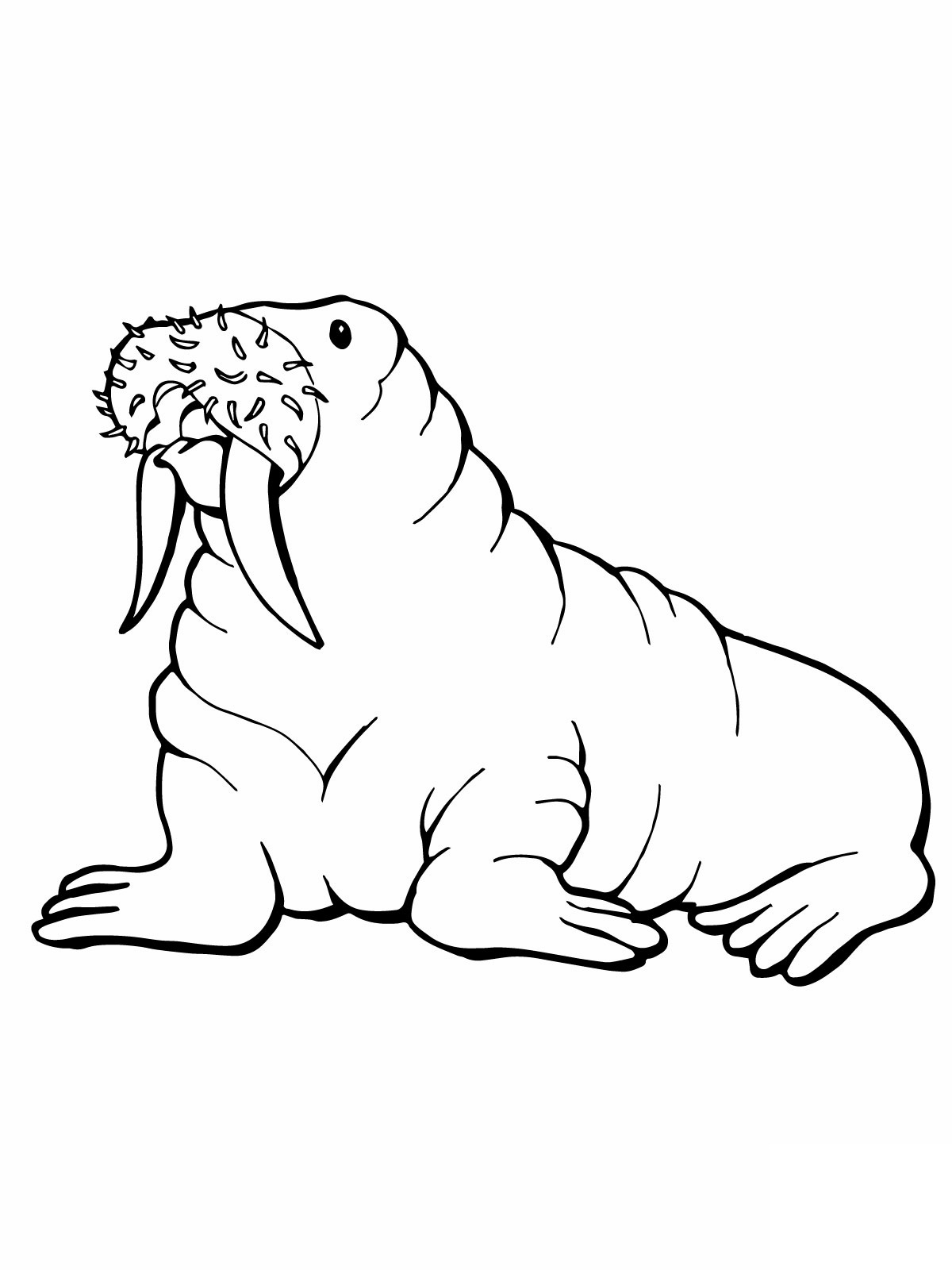 1200x1600 Free Printable Walrus Coloring Pages For Kids