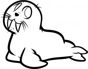 302x236 How To Draw How To Draw A Walrus For Kids