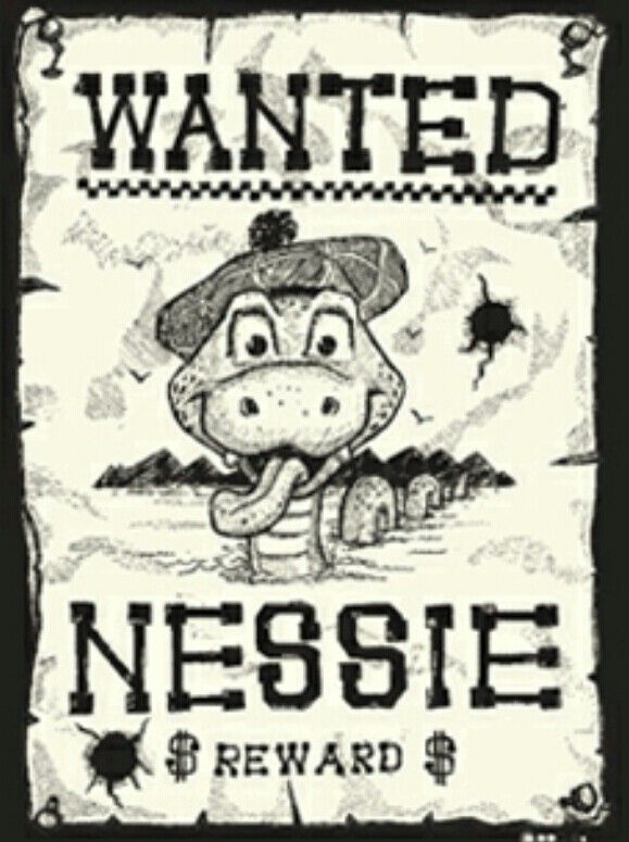 Wanted Poster Drawing