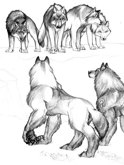 407x542 Ding Dong, Avon Calling. Done Last Year For The Werewolf Portfolio