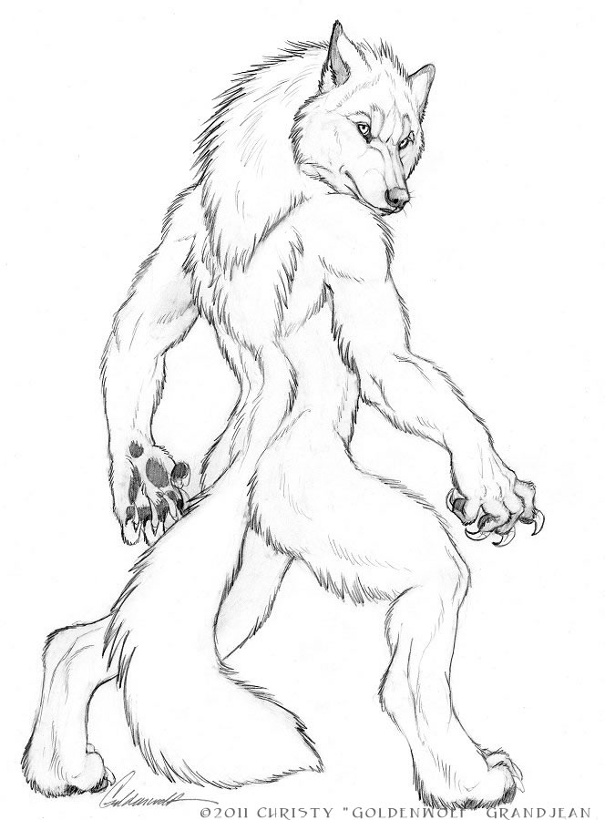 664x900 Gene Eric Werewolf By Goldenwolf