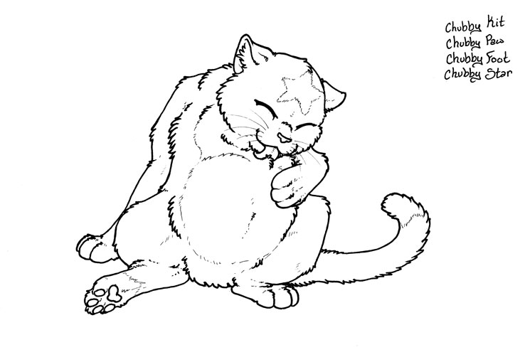 745x509 Random Chubby Warrior Cat By Jianre M