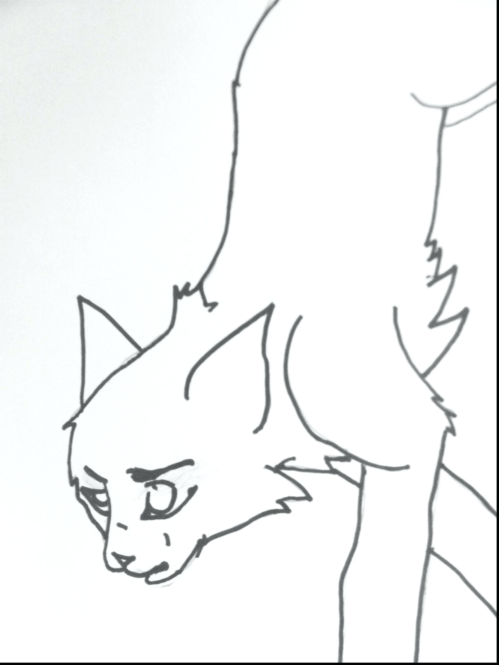 2112x2816 Printable Warrior Cats Coloring Pages Printable