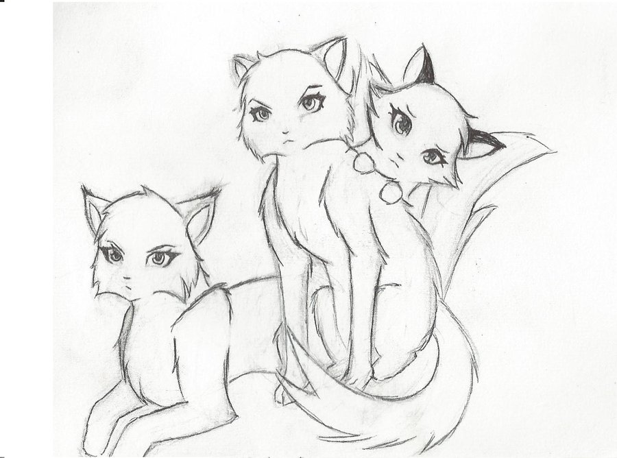 Warrior Cat Drawing at GetDrawings | Free download Warrior Cat Chibi