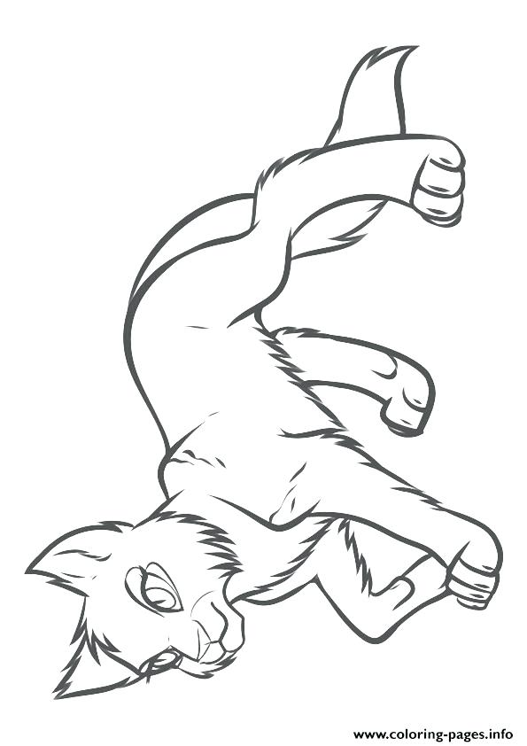 595x842 Lovely Warriors Cats Coloring Pages Kids Warrior Cat How To Draw