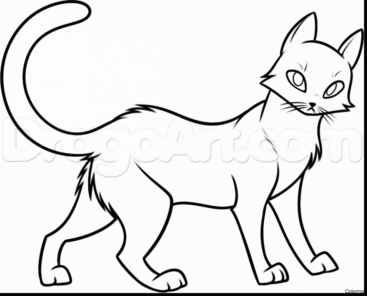 1236x998 Magnificent How To Draw Anime Cats With Warrior Coloring Pages