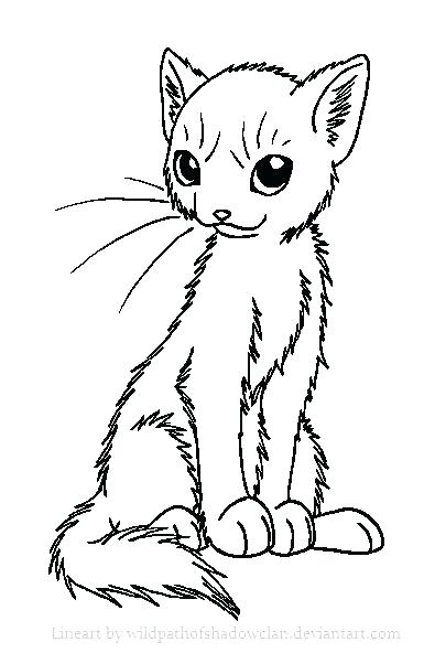 385x592 Ideas Warrior Cat Coloring Pages For Warrior Cats Coloring Pages