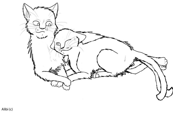 736x490 Marvellous Warrior Cats Coloring Pages 74 In Coloring Books