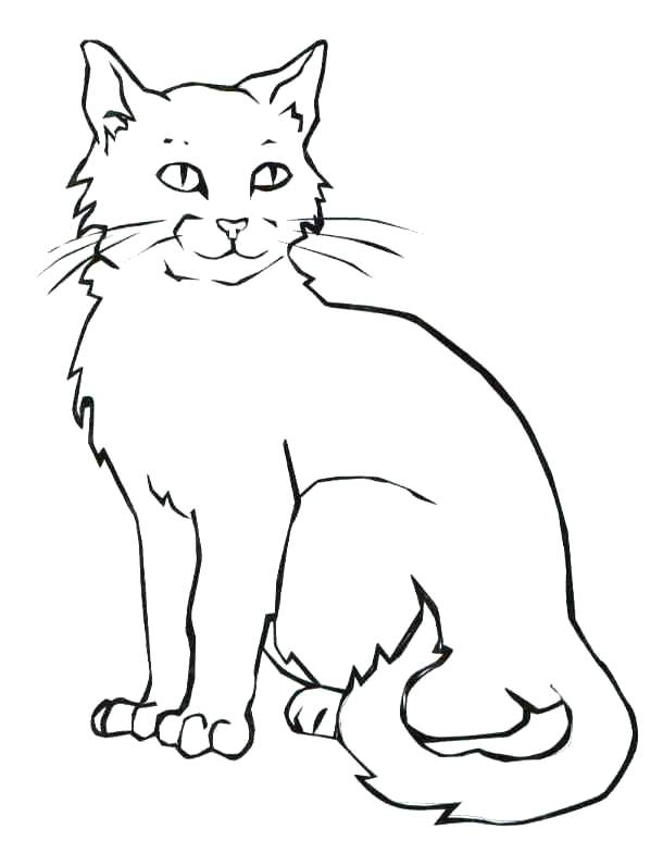 610x784 Warrior Cat Coloring Pages Healthcaretips.site