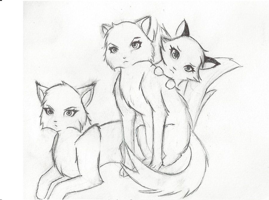 900x668 21 Best Drawing Cat Ideas Images On Warrior Cats