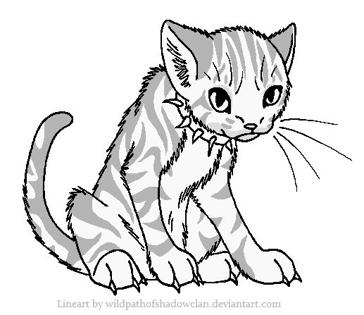 517x447 30 Best How To Draw Warrior Cats Images On Warrior