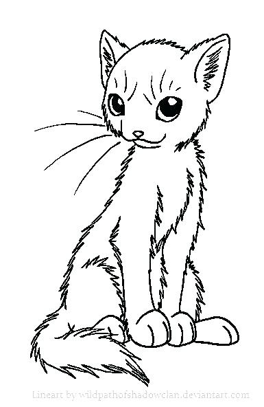 385x592 Minimalist Warrior Cats Coloring Pages Fee