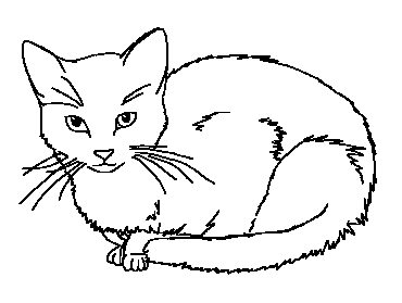 370x279 Warrior Cats Shorthaired Male By Brindlestarr