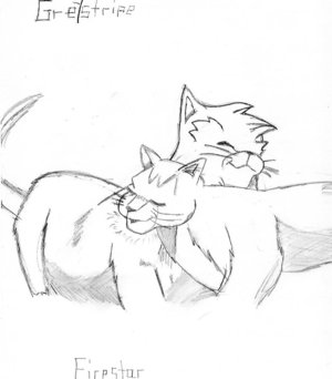 300x342 Warrior Cats By Ice Star Thewolf