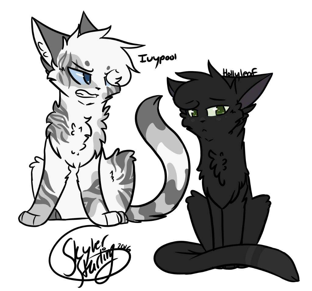 1024x954 Warrior Cat Drawing What Characters Should I Draw Warriors