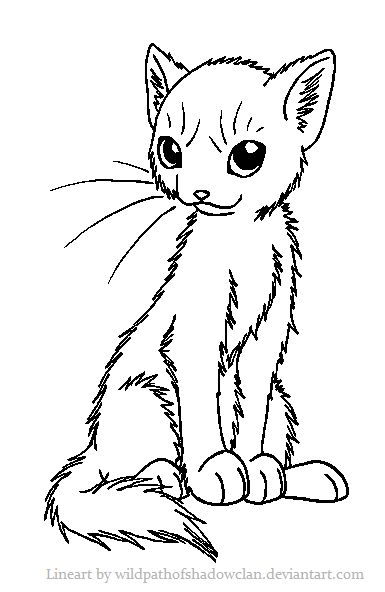 385x592 Warrior Cat Coloring Pages