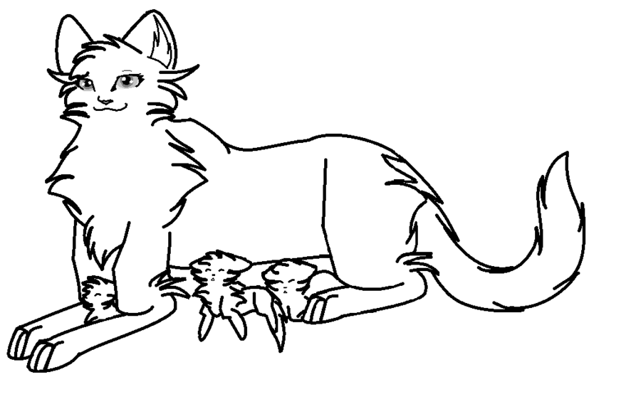 900x575 Warrior Cat Drawings