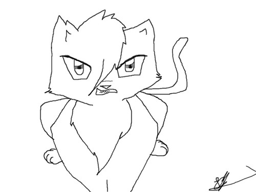 500x375 Warriors (Novel Series) Images Angry Cat Wallpaper And Background