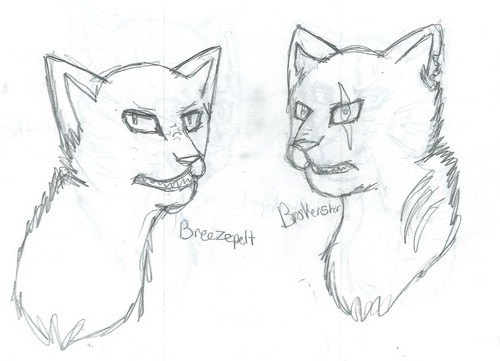 500x361 Warriors (Novel Series) Images Dark Forest Cats P Hd Wallpaper