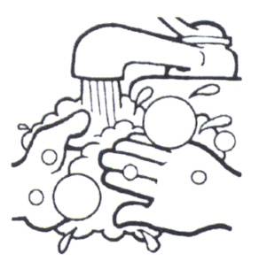 292x304 Washing Hands