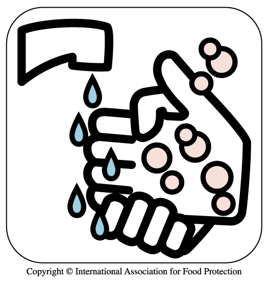 525x550 Free Hand Washing Clipart Image