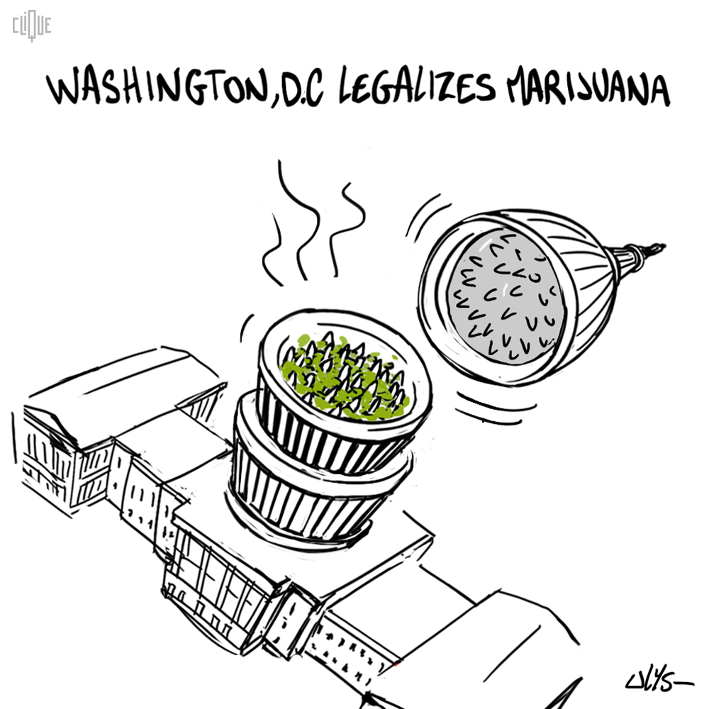 1000x1000 Washington, D.c Legalizes Marijuana