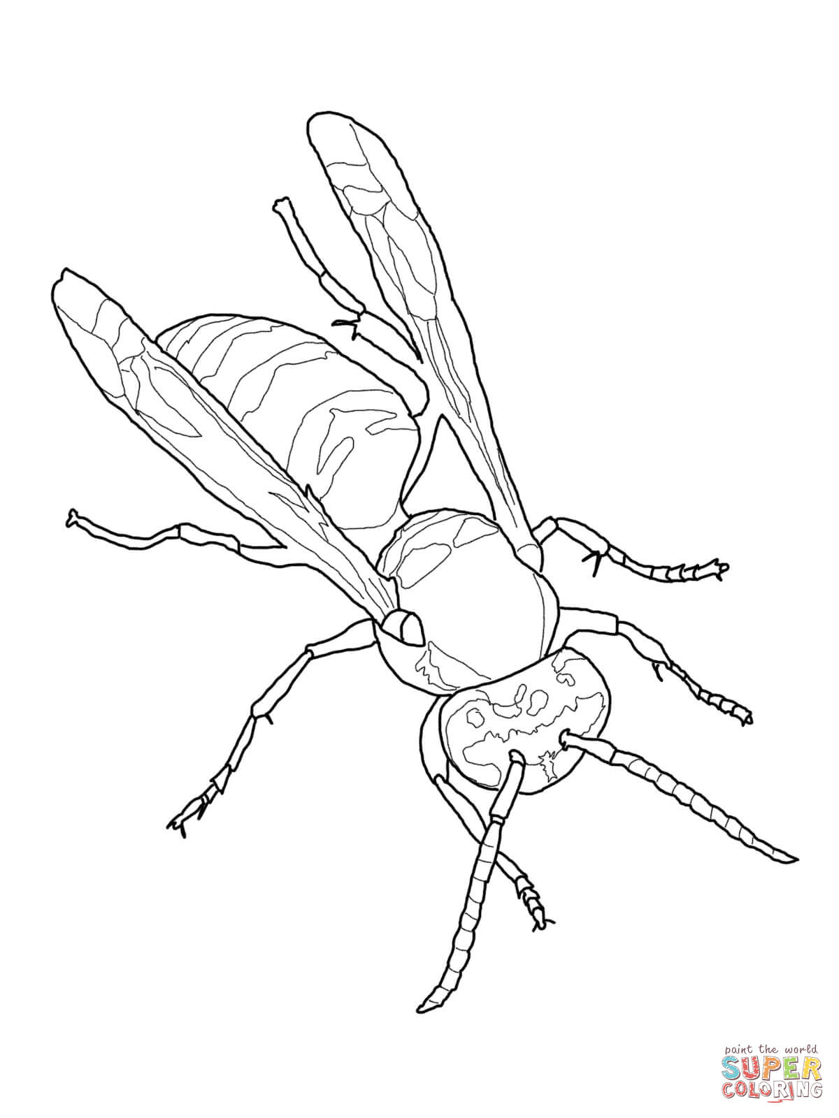 1200x1600 Wasp Coloring Pages Free Coloring Pages