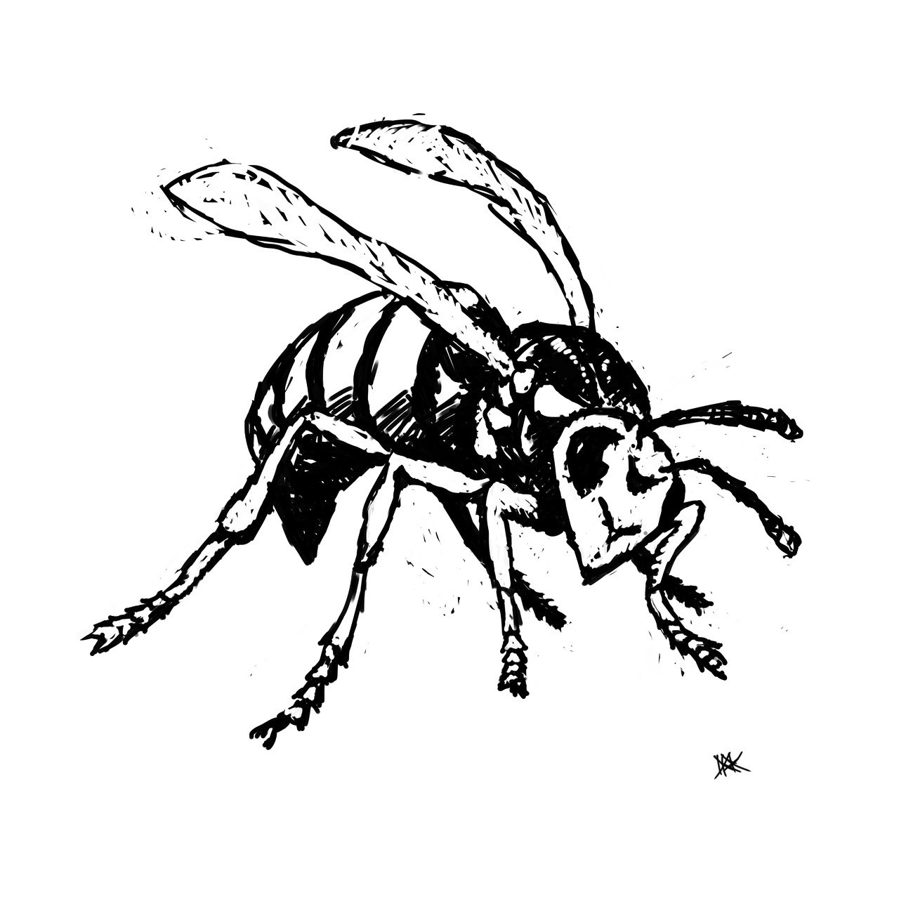 1280x1280 Wasp 10,000 Bad Drawings