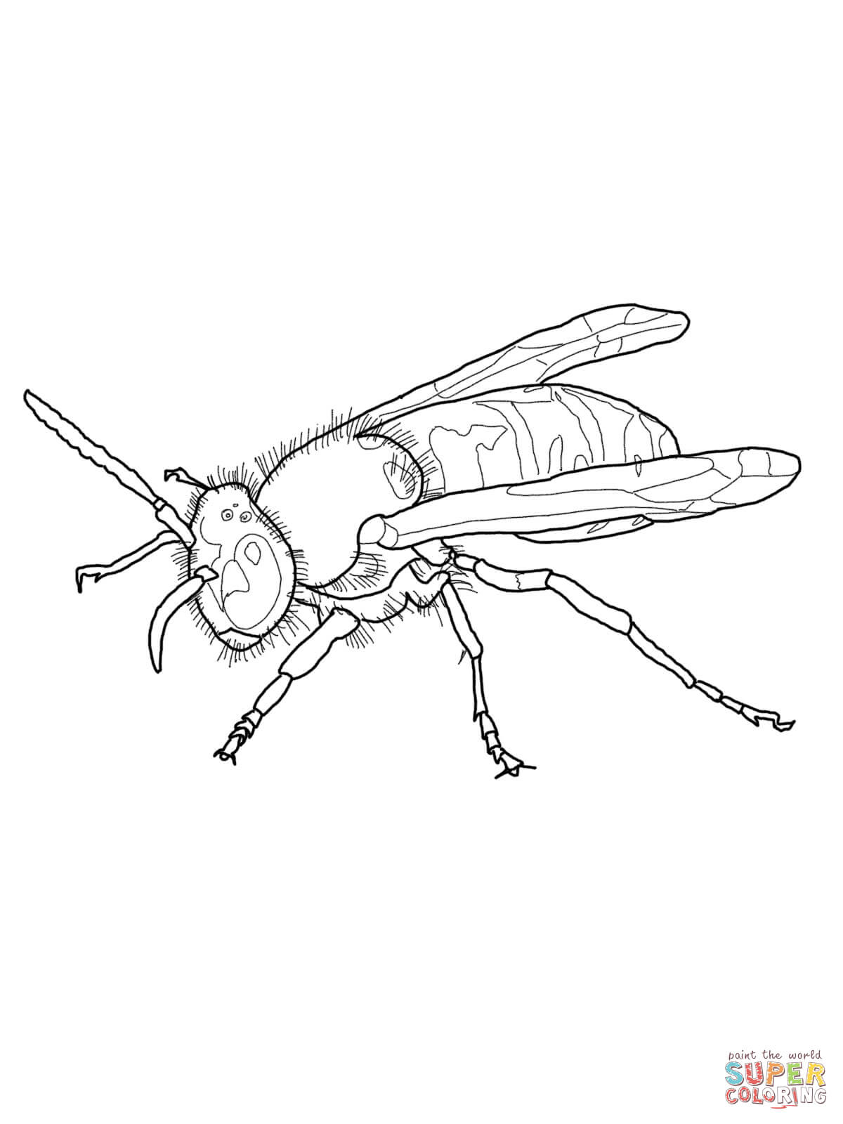 1200x1600 European Wasp Coloring Page Free Printable Coloring Pages