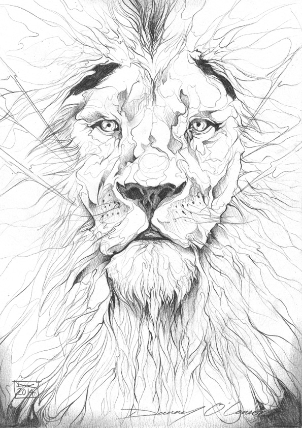 595x842 Lion Pencil Drawing By Art By Doc