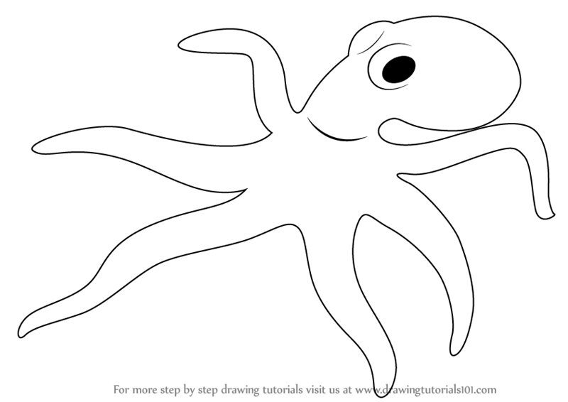 800x566 Learn How To Draw A Octopus (Sea Water Animals) Step By Step