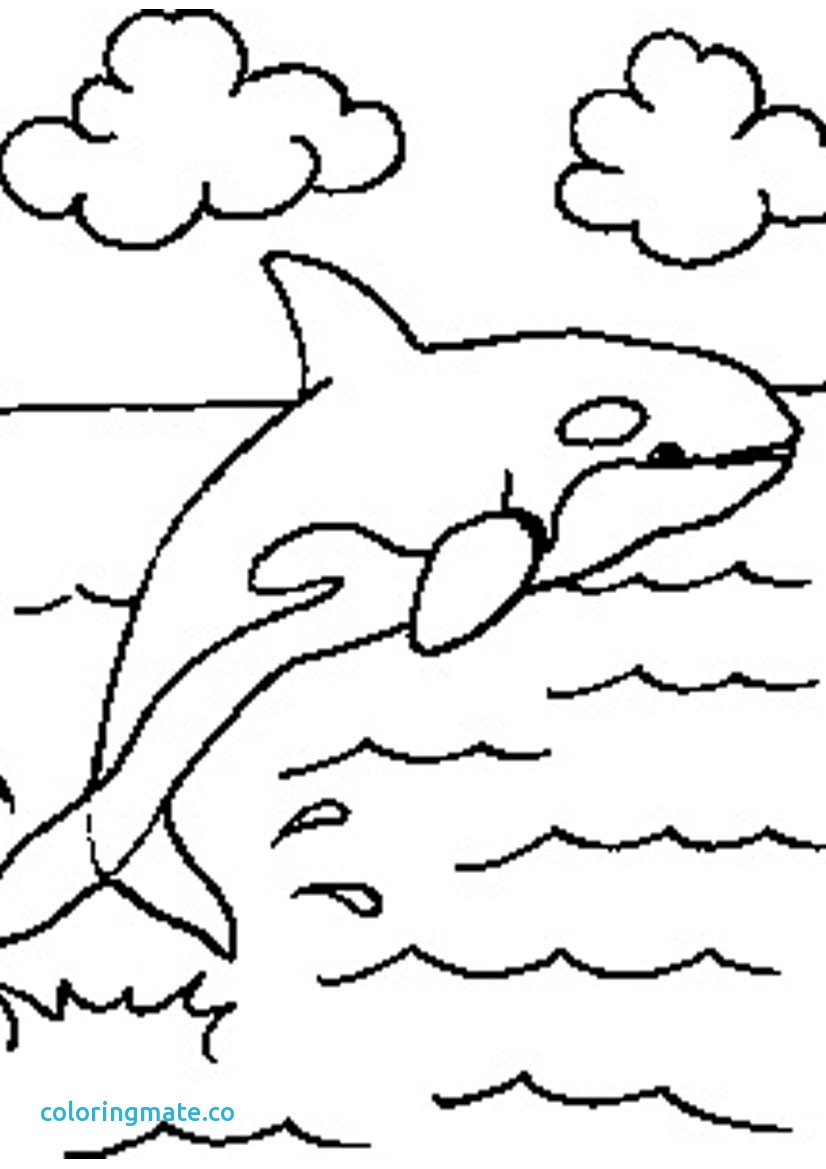 826x1169 Sea Animals Coloring Pages Best Of Vector Animals Ocean Animals