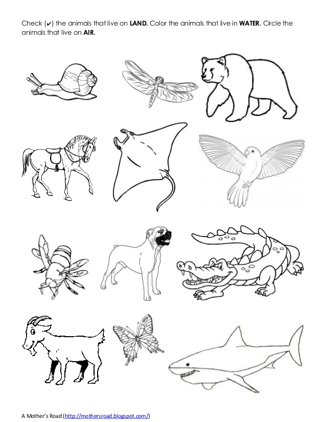 638x826 Coloring Pages Water Animals ~ The Ideas Of Coloring Page