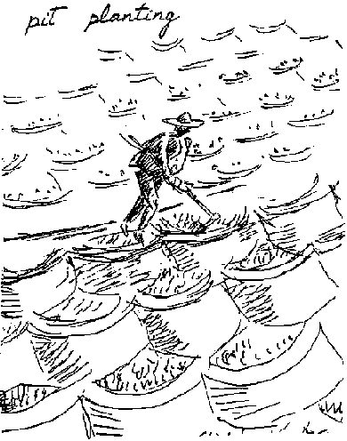 390x496 Soil And Water Conservation