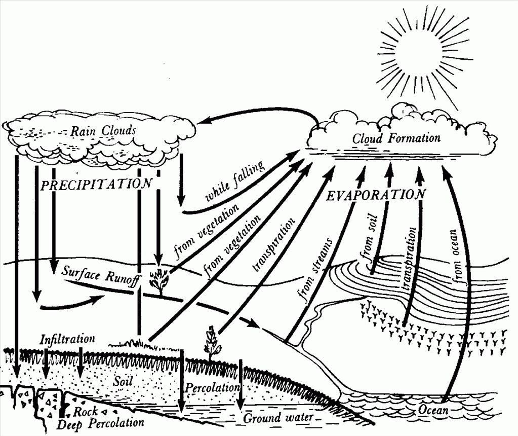 1023x860 Great Water Cycle Coloring Page Picture Unknown Resolutions High
