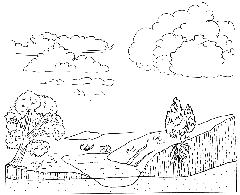 479x389 Water (Cycle)