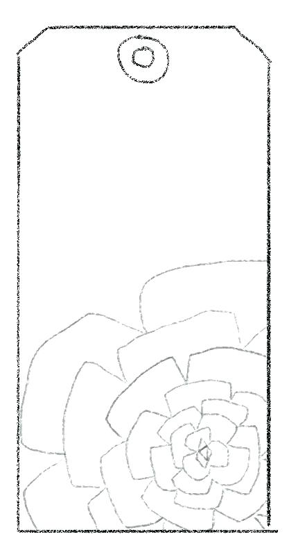 417x802 Water Cycle Coloring Page Pictures Water Cycle Coloring Page