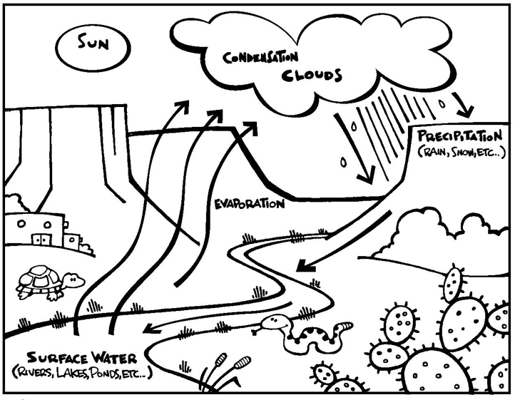 722x561 Biggreencleanup