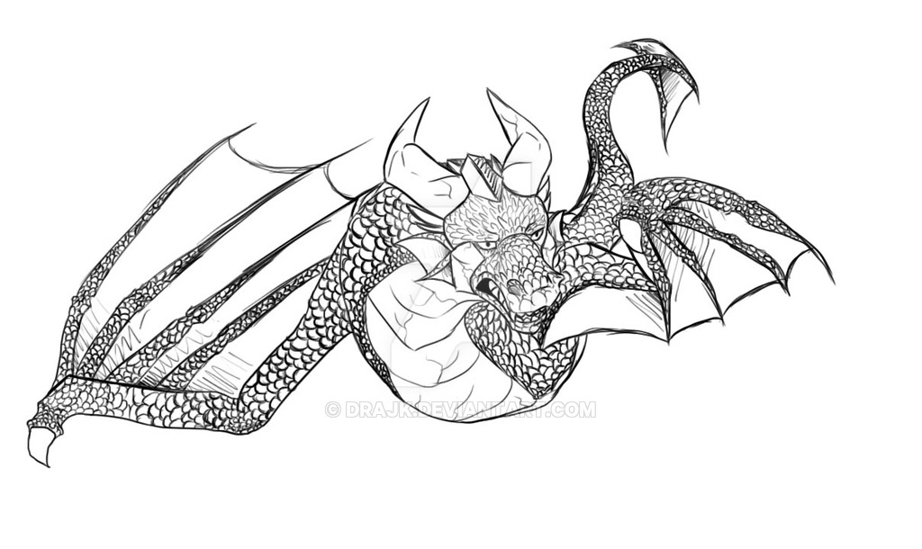 1024x610 Water Dragon Sketch By Drajk