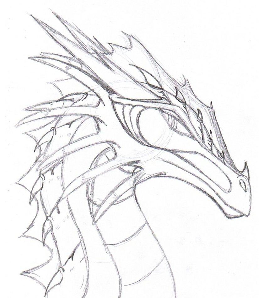 841x950 Realistic Dragon Drawings