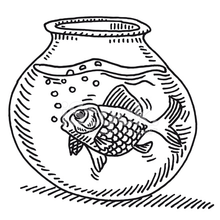 440x440 Gold Fish Bowl Water Drawing Stock Vector