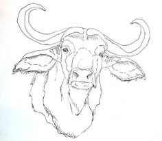 236x206 How To Draw Water Buffalo Drawing Amp Painting Tutorials