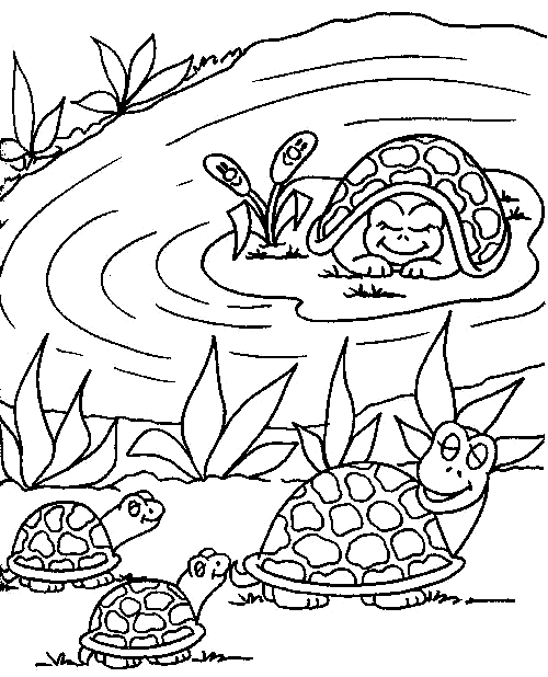 500x618 Coloring Families Of Turtles Around The Water Picture