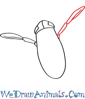 300x350 How To Draw A Water Boatman