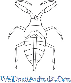 300x350 How To Draw A Water Scorpion
