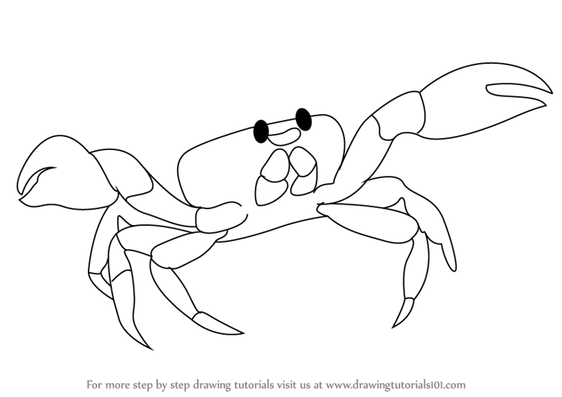 800x566 Learn How To Draw A Crab (Sea Water Animals) Step By Step