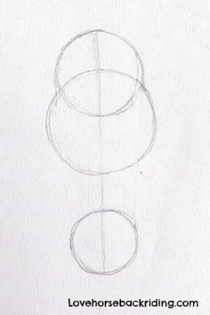 236x354 Designing Horse Pencil Drawings